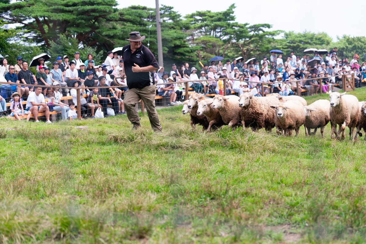 那须高原夏日风景