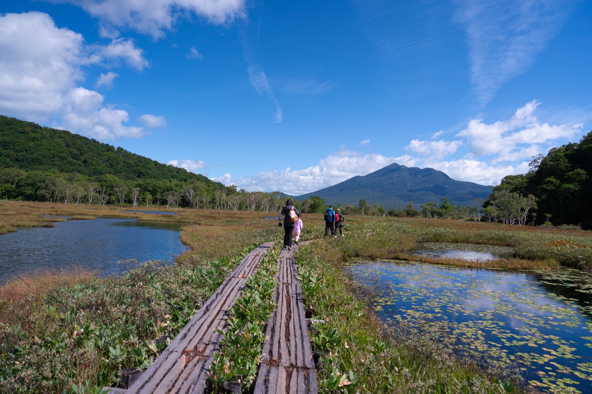 尾瀬的自然风光