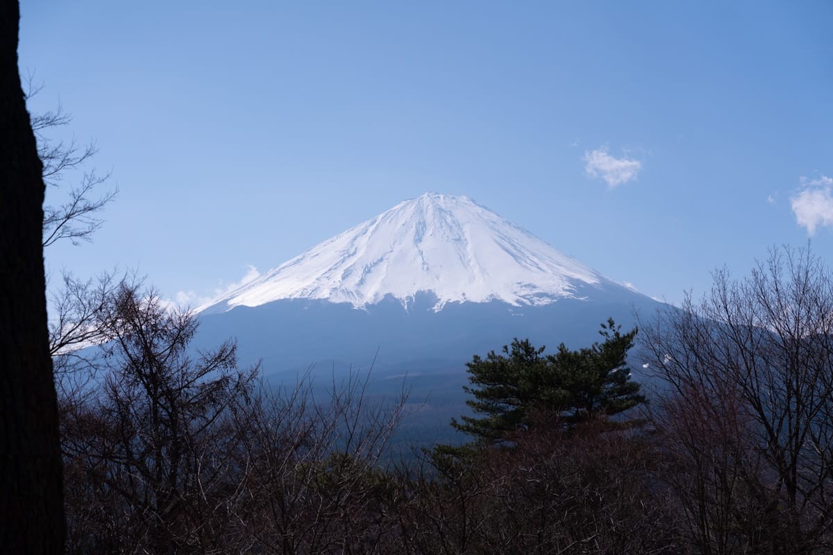 从树林间望出去的富士山，山顶积雪